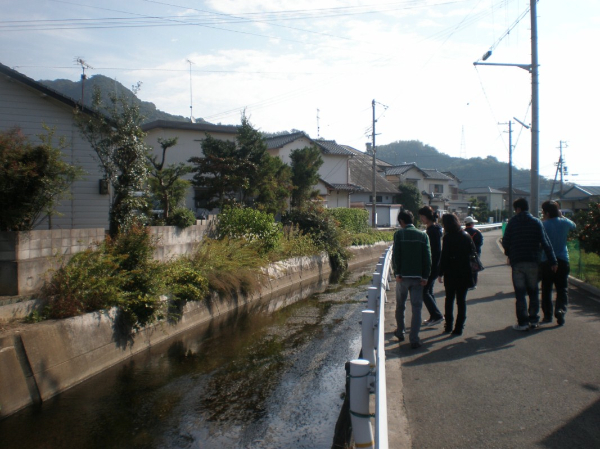 Wakayama En Vue! WAKAYAMA - ramassage mikan 1.jpg